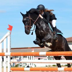 préparation mentale en équitation